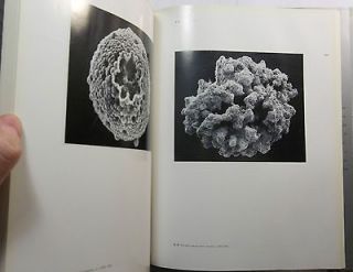   IN MICROSPACE ART OF THE SCANNING ELECTRON MICROSCOPE DEE BREGER BOOK