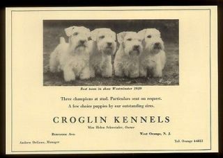 1939 CUTE Sealyham Terrier photo dog breeder Croglin Kennels print ad