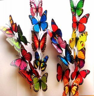 butterfly decorations