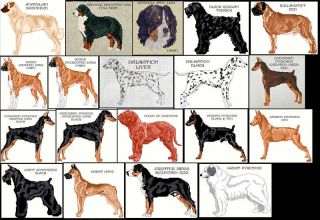 WORKING DOGS (A   K) COUNTED CROSS STITCH PATTERNS