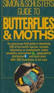 Butterflies & Moths by MAURO DACCORDI   1988 HC Book