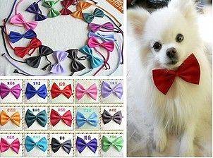 10PCS New Dog Cat Pet Collar ACCESSORY Bow tie necktie