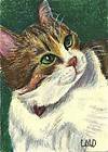 ACEO, Giclee Print of Colored Pencil Drawing, Painting, Cat, Animal
