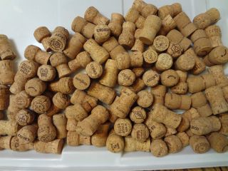 50 CHAMPAGNE CORKS      various brands