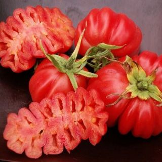 heirloom tomatoes in Seeds & Bulbs