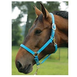 horse halters in Horse Supplies