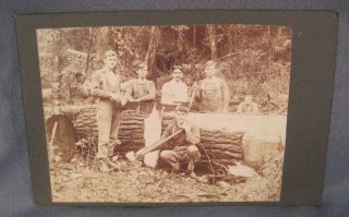 ANTIQUE CABINET PHOTO~LOGGERS~​AX~SAW~TREE~OC​CUPATIONAL