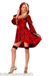 Enchanting Celtic Mistress Hooded Medieval Dress Costume Sm Med Lg XL 