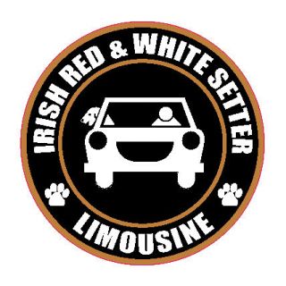 LIMOUSINE IRISH RED AND WHITE SETTER 5 DOG STICKER