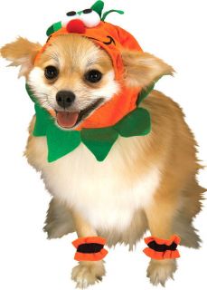 Medium Dog Pumpkin Costume for Dogs or Cats   Dog Costumes