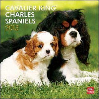 Cavalier King Charles Spaniels 2013 Wall Calendar