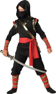 martial arts in Costumes, Reenactment, Theater