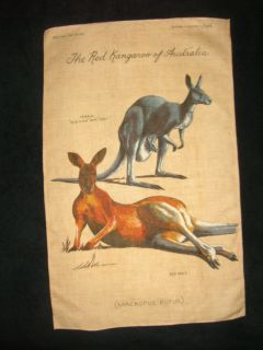Red Kangaroo of Australia Linen Kitchen Towel Blue Flyer w/Joey 31x19 