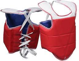 sparring gear chest protector in Protective Gear