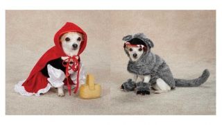 Little Red Riding Hood & Big Bad Wolf Costumes for Dogs   Halloween 