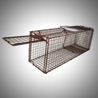 Live Animal Trap Skunk Racoon Cat 31 x 9 x 11 Cage Rabbit Box 