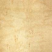Birdseye Maple, Heavy eye, Wood Veneer Sheet, 48x96, Flat Cut, WOW 