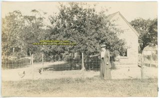 c1910 Photo Massachusetts MA East Bridgewater Woman Chickens Wire 