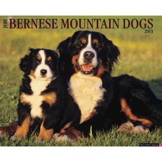 Just Bernese Mountain Dogs 2013 Wall Calendar