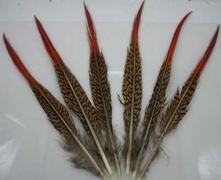 Natural pheasant tail feathers,25 30​cm 10pcs adorn