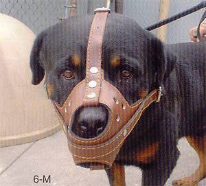 dog muzzles in Muzzles