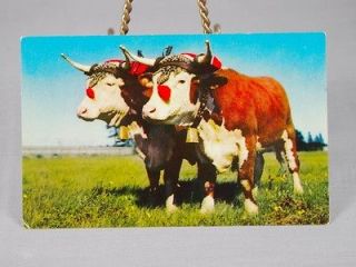 Vintage Postcard Prize Yoke of Oxen Real Color Photo 
