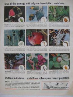 1958 Malathion Garden Insect Bug Spray Pesticide Ad