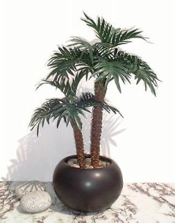 Kurrajong Palm   22 (55cm)   Artificial Silk Plant, Faux Imitation 