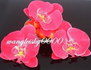 12pcs hot pink silk flower butterfly orchid heads wedding party 