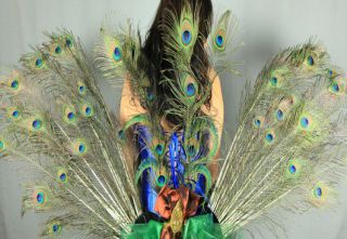 Full Peacock Feather Wings Tail Victorias Halloween Sexy Costume 