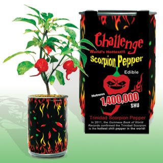   Scorpion Pepper   All Included in Growing kit with Scorpion Seeds