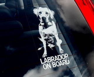 Labrador Retriever   Car Window Sticker  Lab Sign n.Collar/Harne​ss 