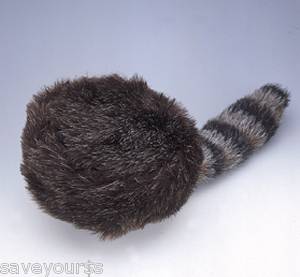 raccoon skin hat in Clothing, 