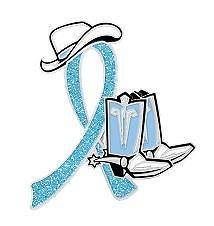 Prostate Cancer Light Blue Glitter Ribbon Cowgirl Cowboy Western Boots 