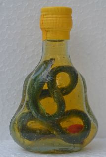   SMALL   Real Snake Taxidermy in Rice Wine   Viet Nam   Collection RARE