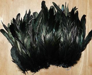   DYED BLACK OVER BRONZE COQUE ROOSTER TAIL FEATHERS (8 to 10 inches