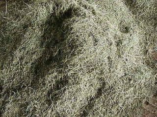 1ST CUTTING MIXED GRASS HAY FOR SALE 5 POUNDS GREAT FOR SMALL PETS 