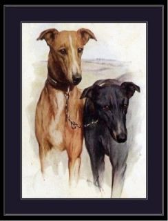 Collectibles  Animals  Dogs  Greyhound