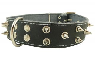 Real Leather Dog Collar Spiked 20 24 neck 1.6 wide Rottweiler Bull 