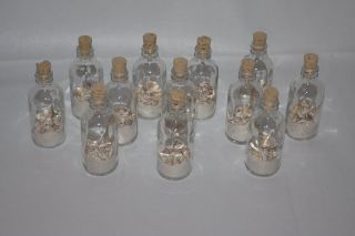 Lot of 12 White Sand and Shells in a Bottle Wedding Decoration Set 