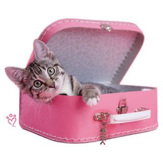 Kitten In Pink Suitcase Cat Tshirt Sizes/Colors