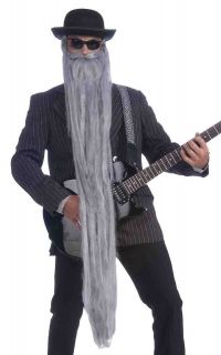 Hillbilly Rock Star Costume Extra Long Grey Biker Beard