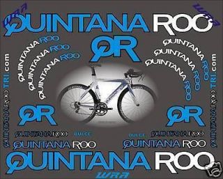 Quintana Roo Dulce Ladies Triathlon Bike Stickers