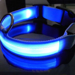   LED Dog Night Safety Pet Collar Flashing Light Up Pendant Collar Rope