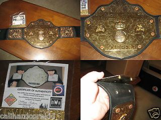 world heavyweight championship belt in Wrestling