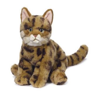 Webkinz Virtual Pet Plush   Signature Series   BENGAL CAT (12 inch)