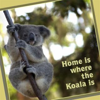 Collectibles  Animals  Wild Animals  Koalas