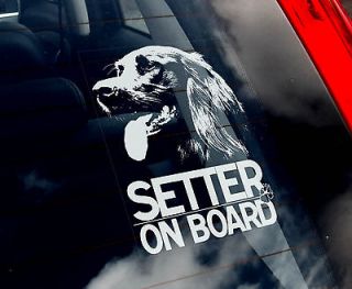 Setter   Car Window Sticker   English Irish Dog Sign   n.Collar/Harne 