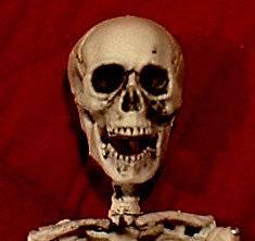   Ventriloquist Skeleton doll dummy puppet Halloween skull creepy toy