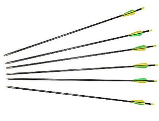   Pcs ) 34 Inches Fiberglass Target Practice Compound bow arrows 34